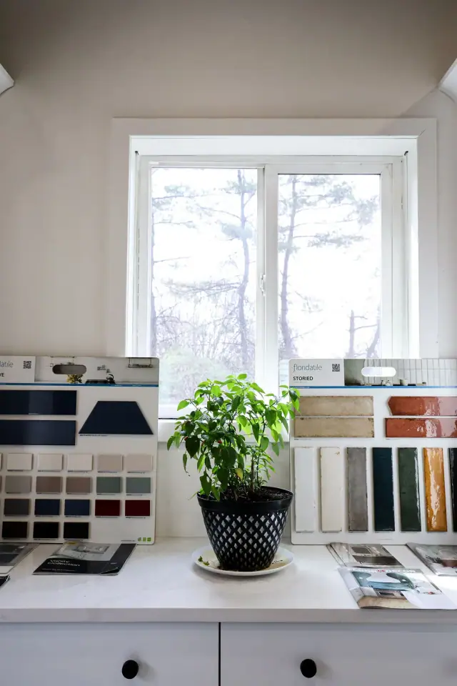 Bright window area with a plant and material sample racks